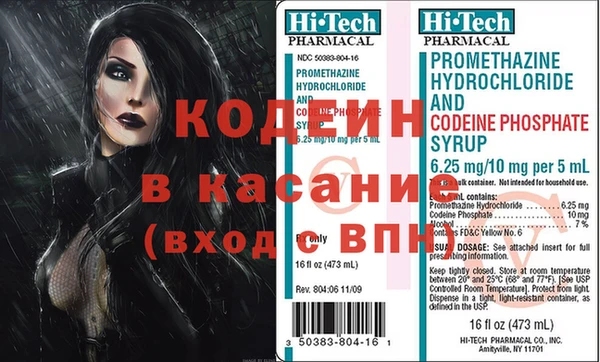 крисы Новодвинск