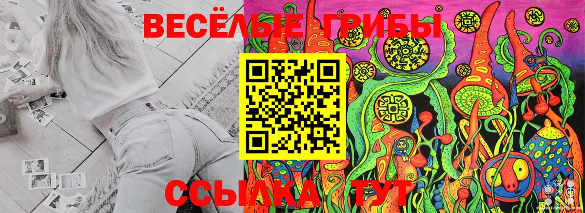 Псилоцибиновые грибы мицелий  Вход с VPN  Шали 