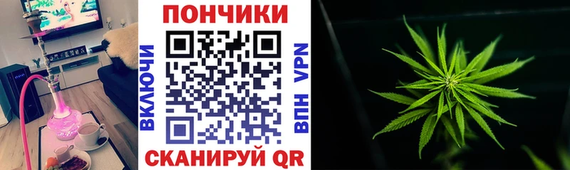 Канабис VHQ  гидра зеркало  Шали  закладка 